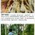 天目笋干春笋干18年新货一件代发