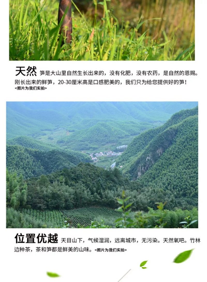 天目笋干春笋干18年新货一件代发
