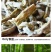 天目笋干春笋干18年新货一件代发