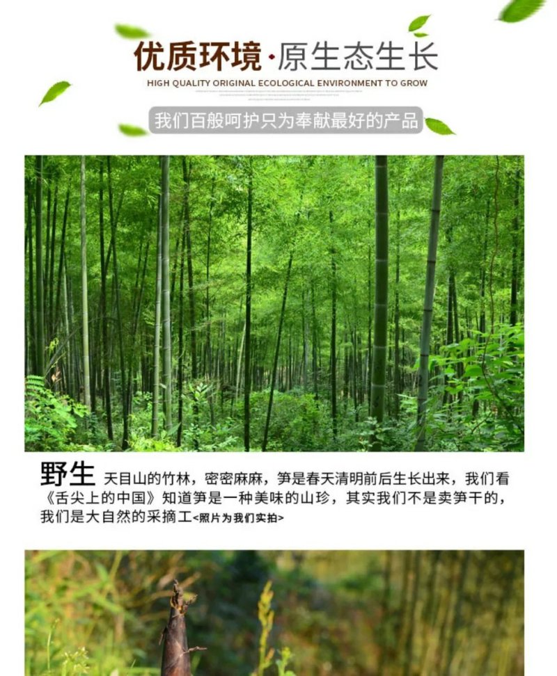 天目笋干春笋干18年新货一件代发