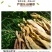 天目笋干春笋干18年新货一件代发