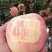 金磊果品大量供应中秋王苹果纸袋250g~450g