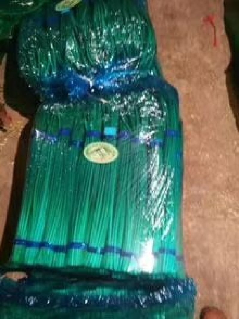 冷库保鲜蒜薹白帽，红帽精品包装！质量始终如一！全国发