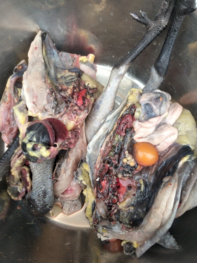鸡，鸭，溪谷彩抽，密桔，红薯，陈皮:，黄桅子