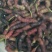 鸡，鸭，溪谷彩抽，密桔，红薯，陈皮:，黄桅子