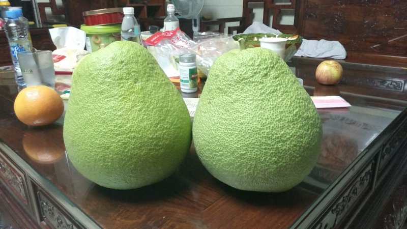 鸡，鸭，溪谷彩抽，密桔，红薯，陈皮:，黄桅子
