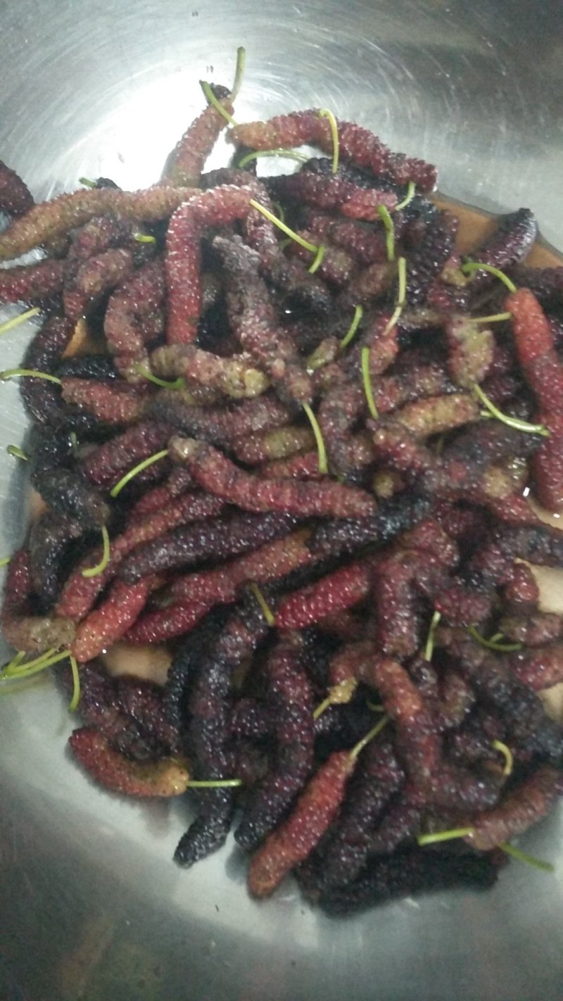 鸡，鸭，溪谷彩抽，密桔，红薯，陈皮:，黄桅子