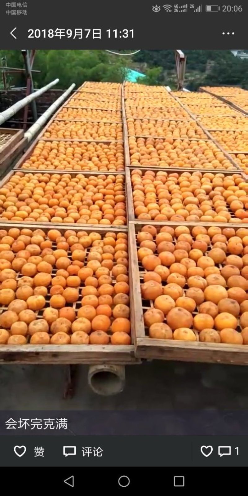 柿饼