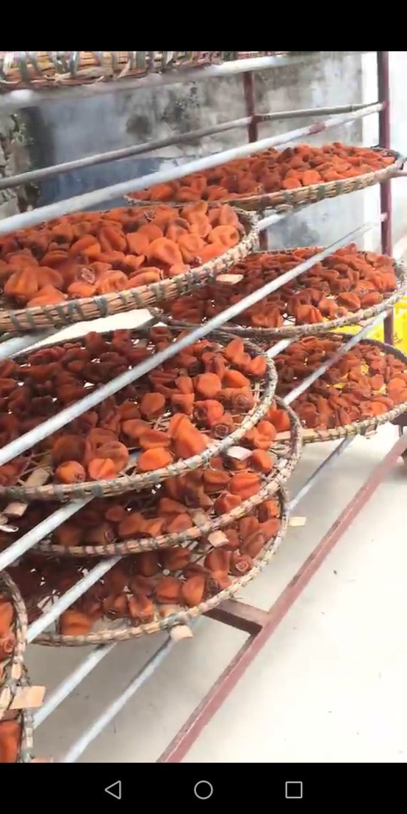 柿饼