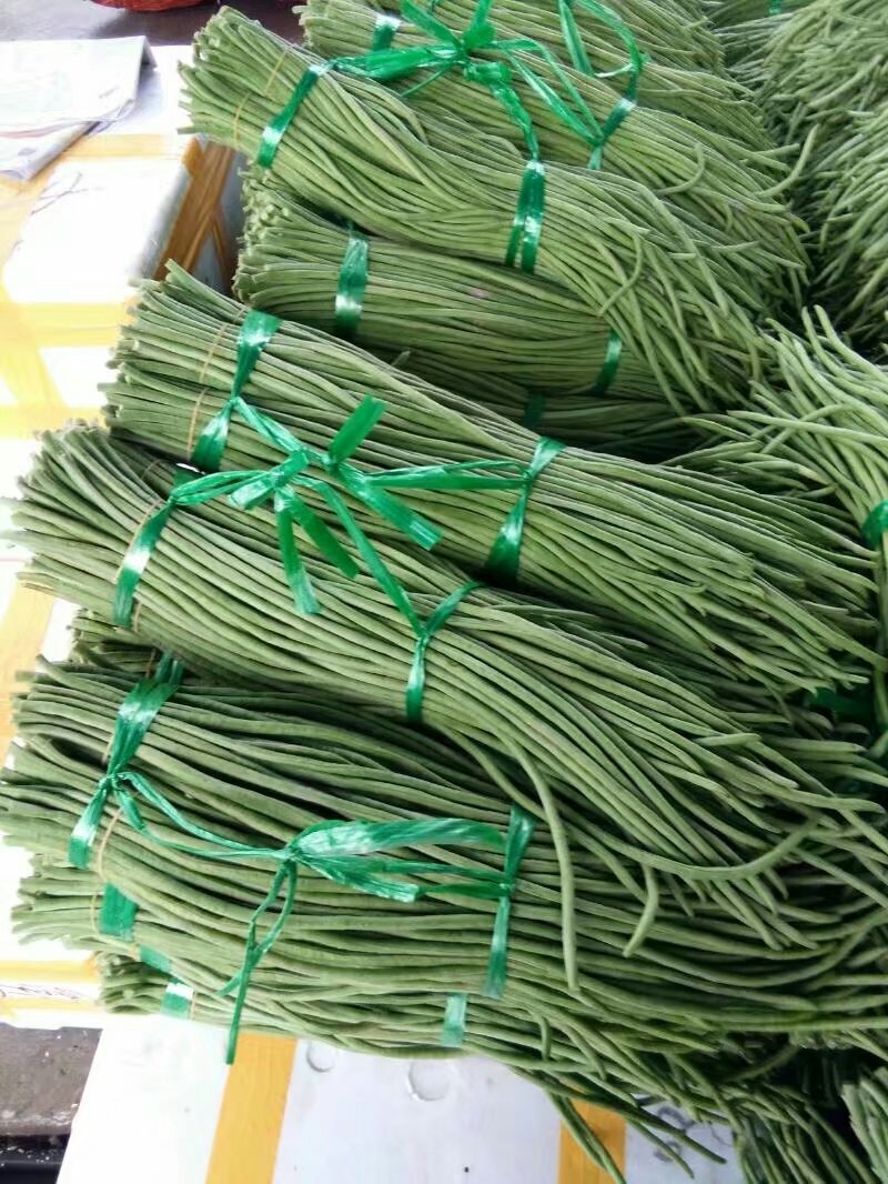 豆角，豇豆。白豆角。大量上市。需要的朋友请联系。