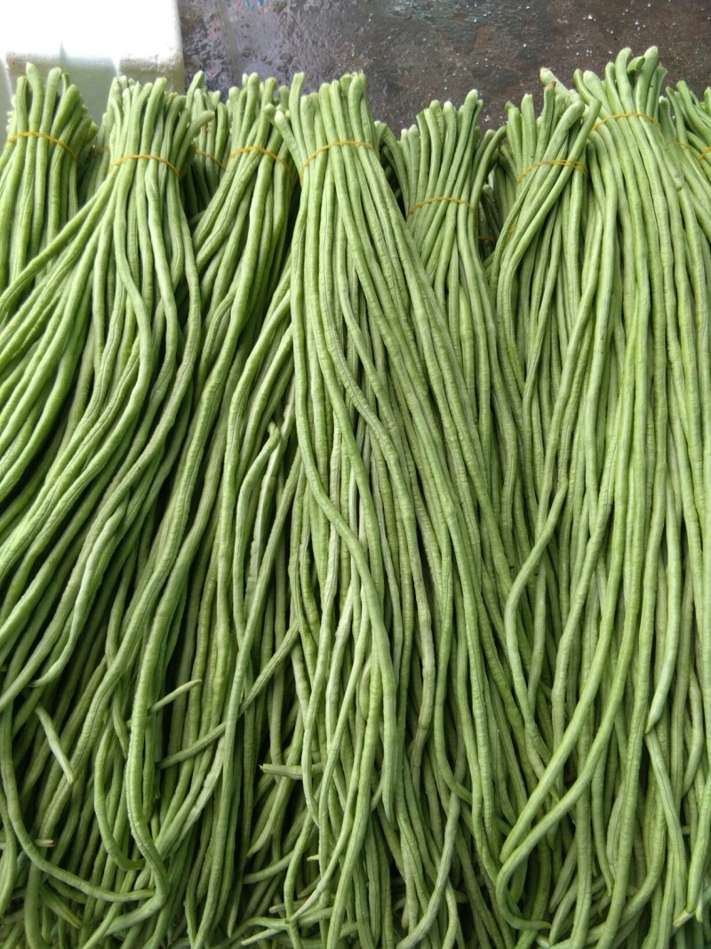 豆角，豇豆。白豆角。大量上市。需要的朋友请联系。