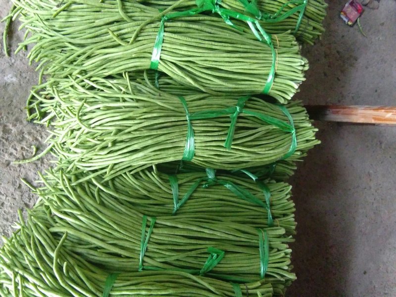 豆角，豇豆。白豆角。大量上市。需要的朋友请联系。