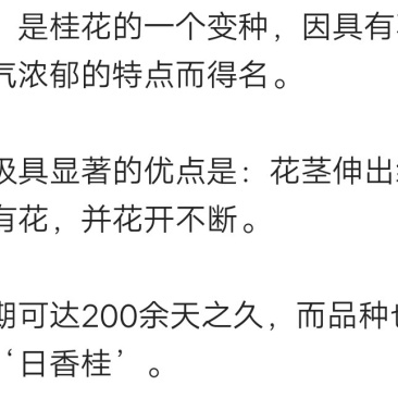 桂花