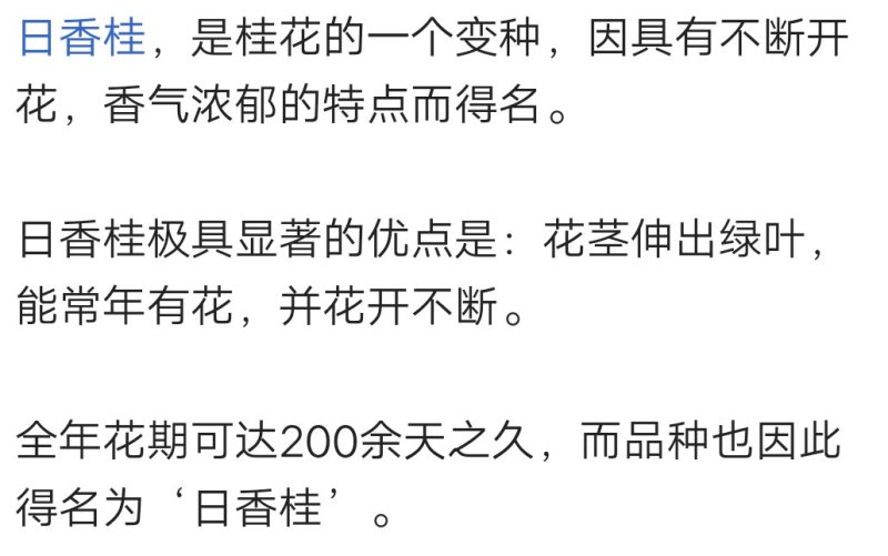 桂花