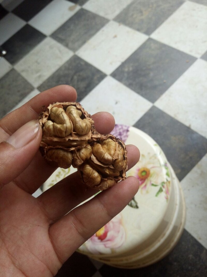 农村干果马茶