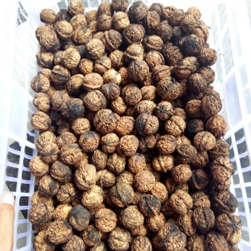农村干果马茶