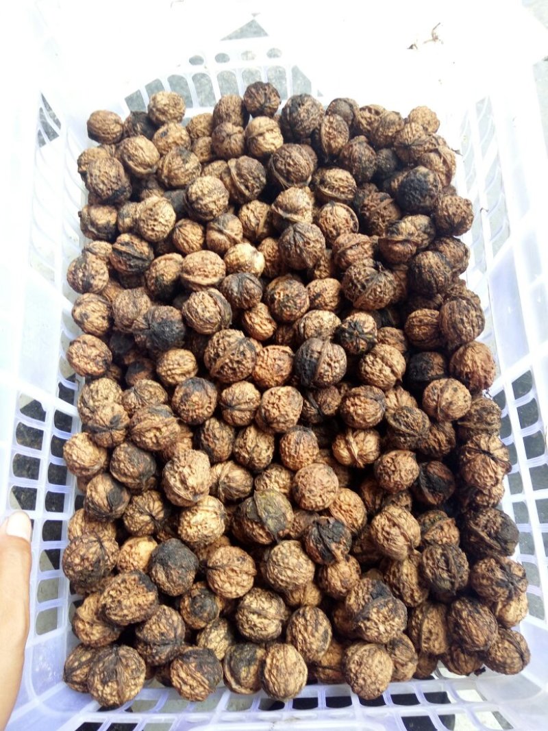 农村干果马茶