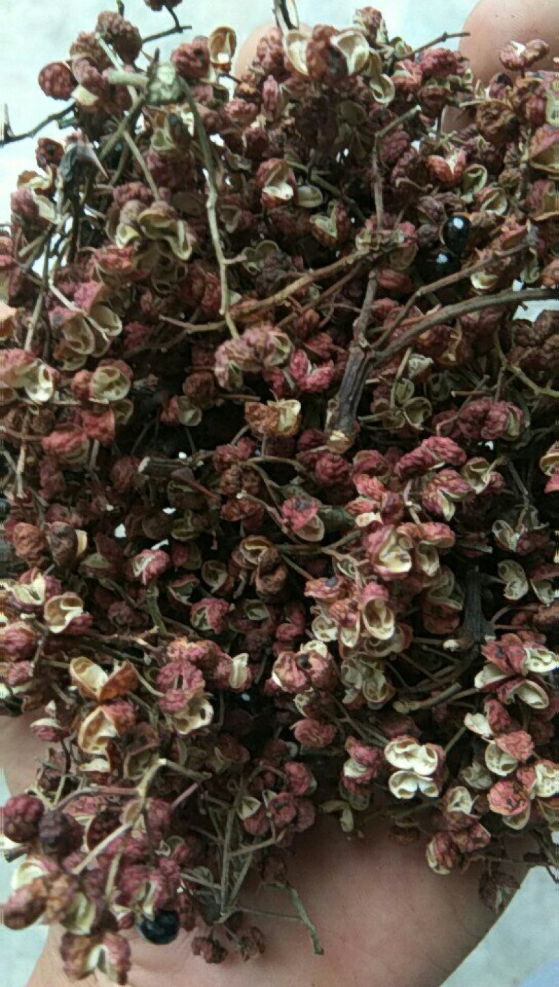 大红袍花椒