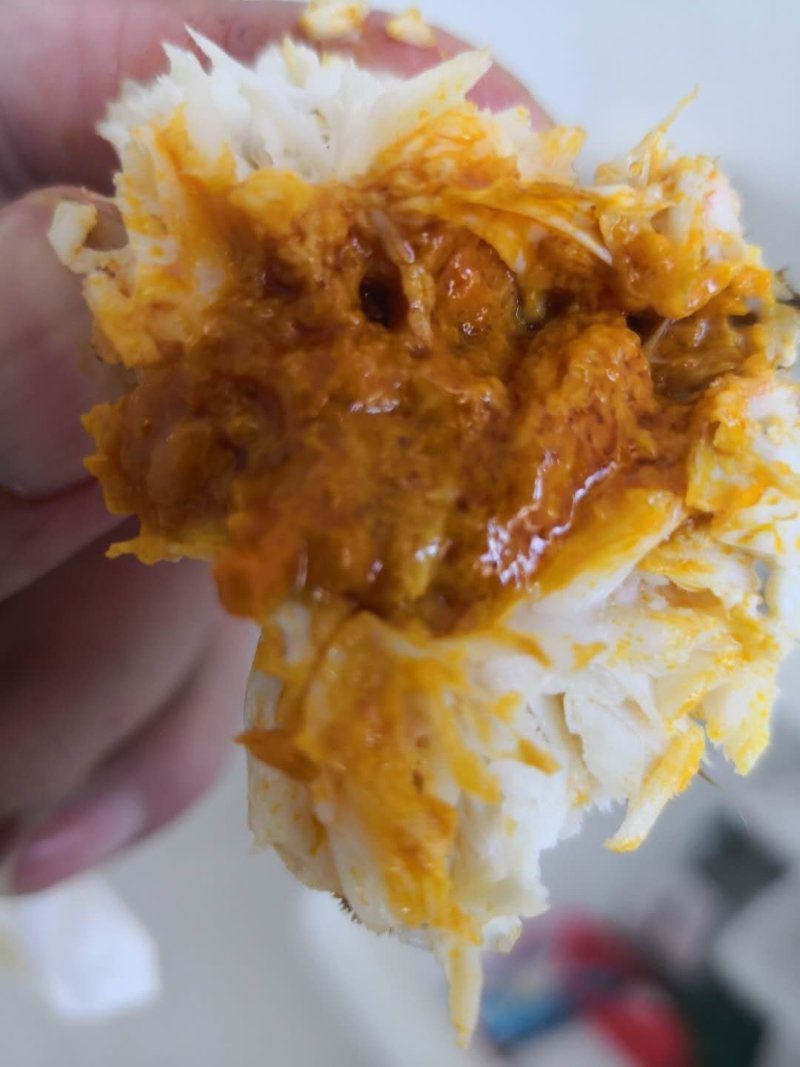 3.5两公蟹食用洪泽湖精品红膏大闸蟹
