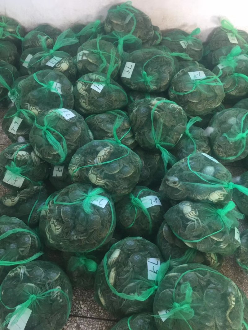 3.5两公蟹食用洪泽湖精品红膏大闸蟹