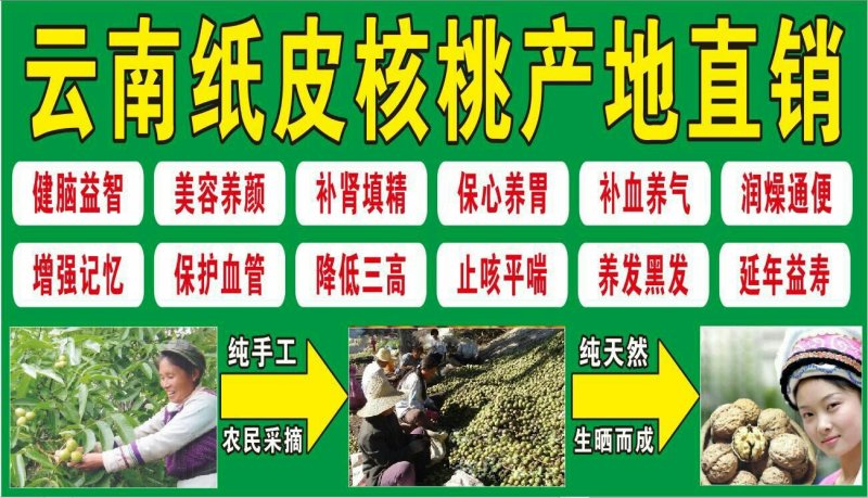 野生核桃