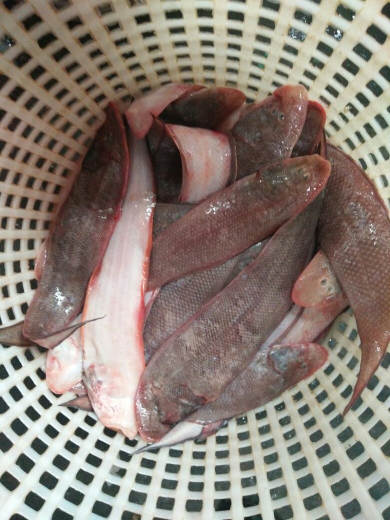 龙利鱼150/200250/300300/400