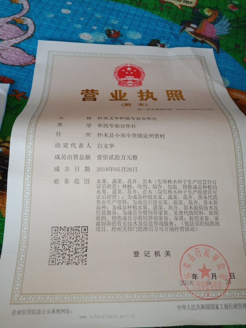 果海棠