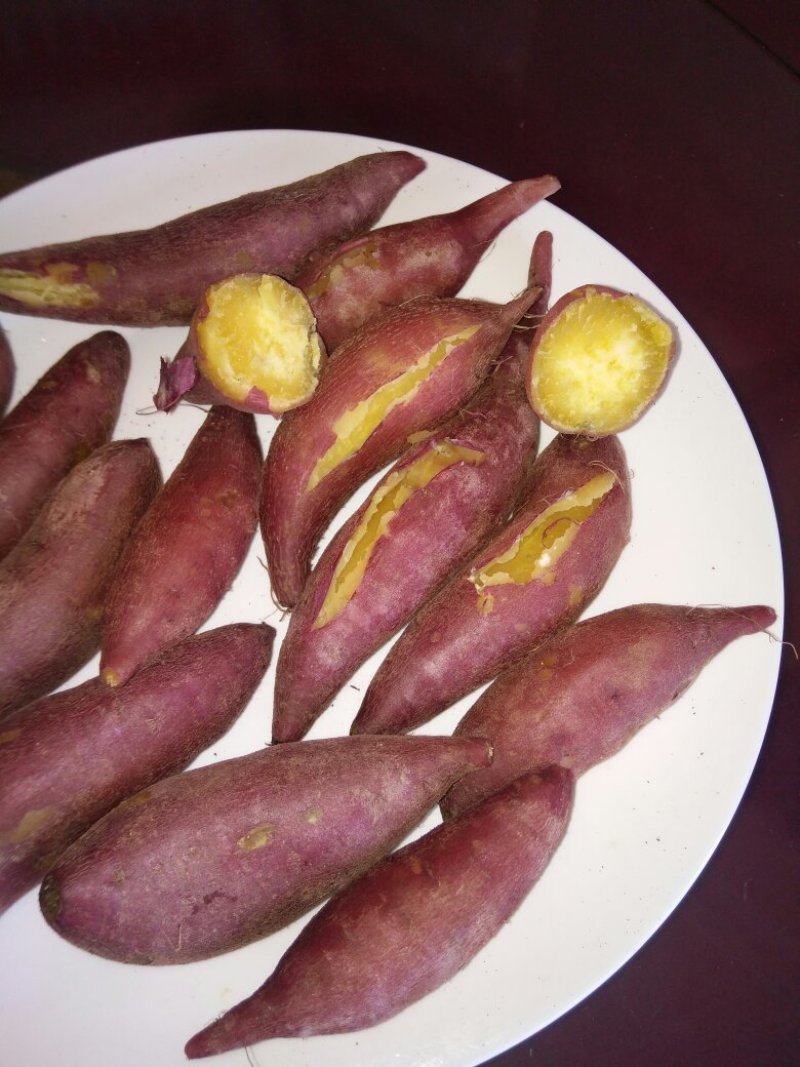 板栗薯红薯
