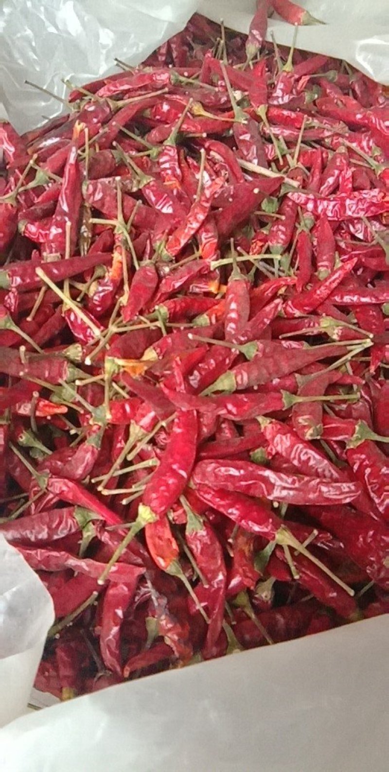 干辣椒
