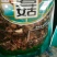 野生榛蘑黑龙江省林口县莲花镇