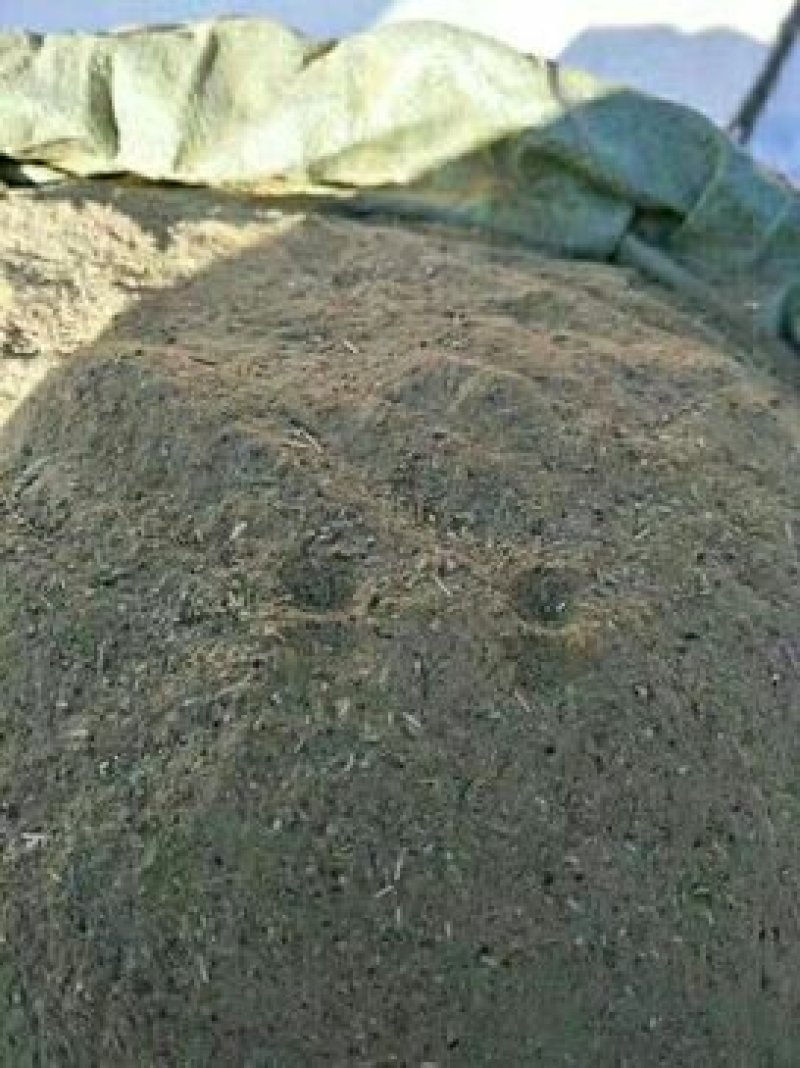葵头，葵头粉出售