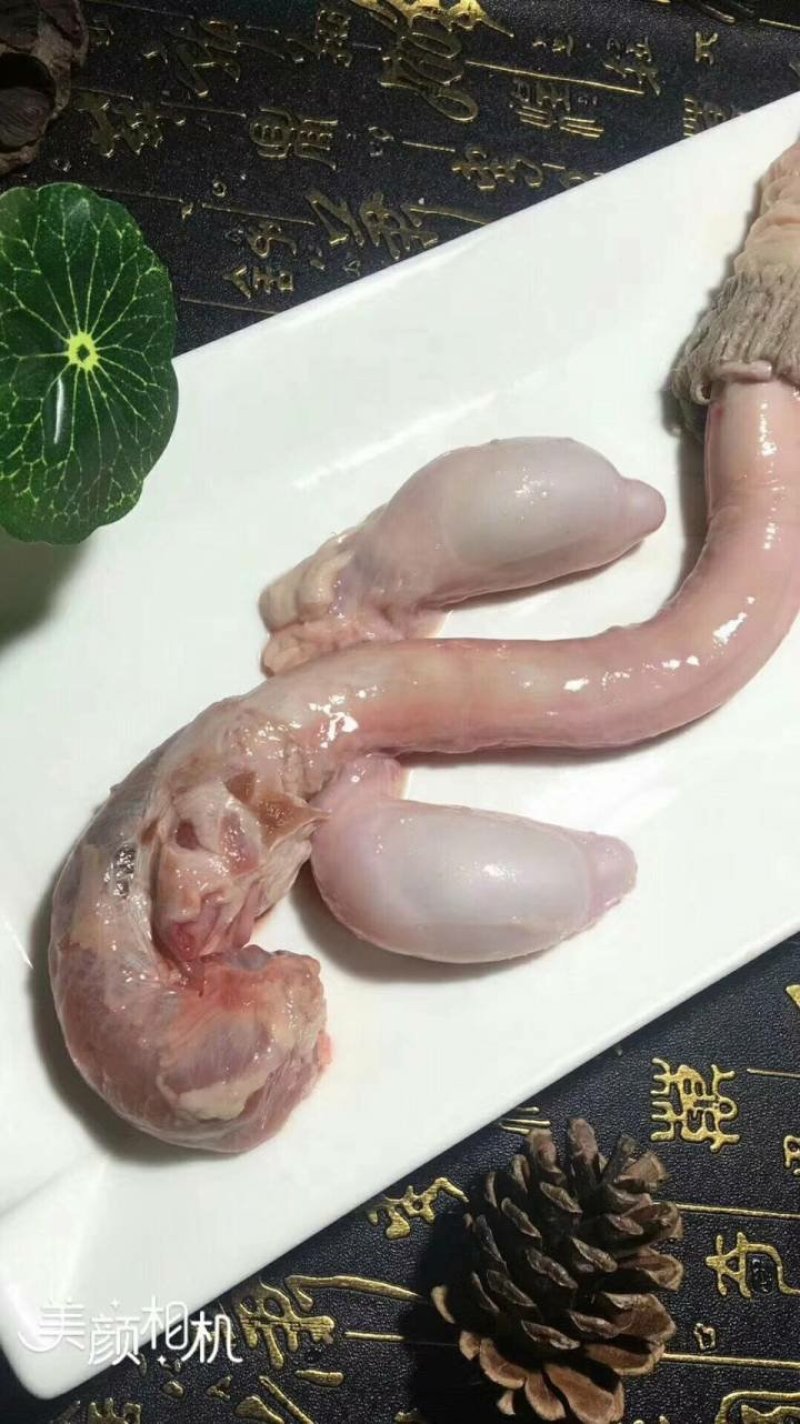 鹿场直供成年干鲜鹿鞭整只鹿鞭保真男用泡酒更强