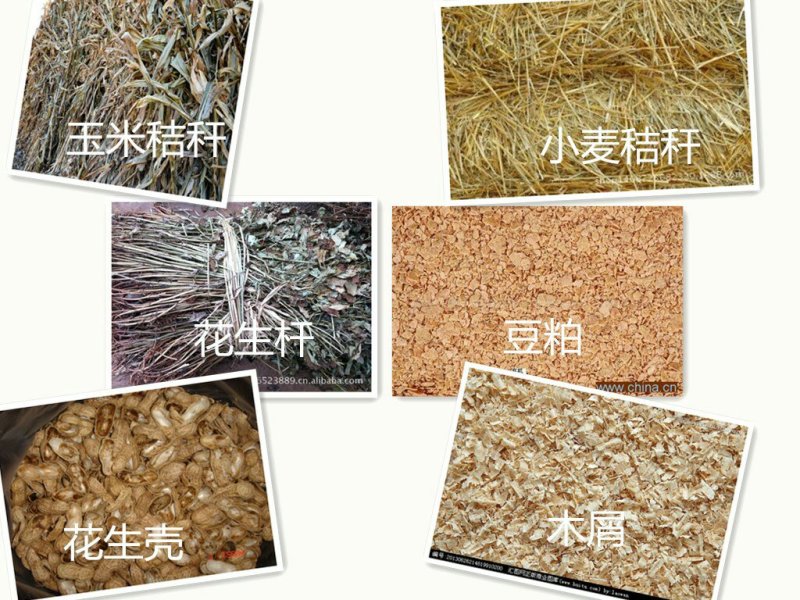 饲料颗粒机厂家直销批发适用于各种动物养殖
