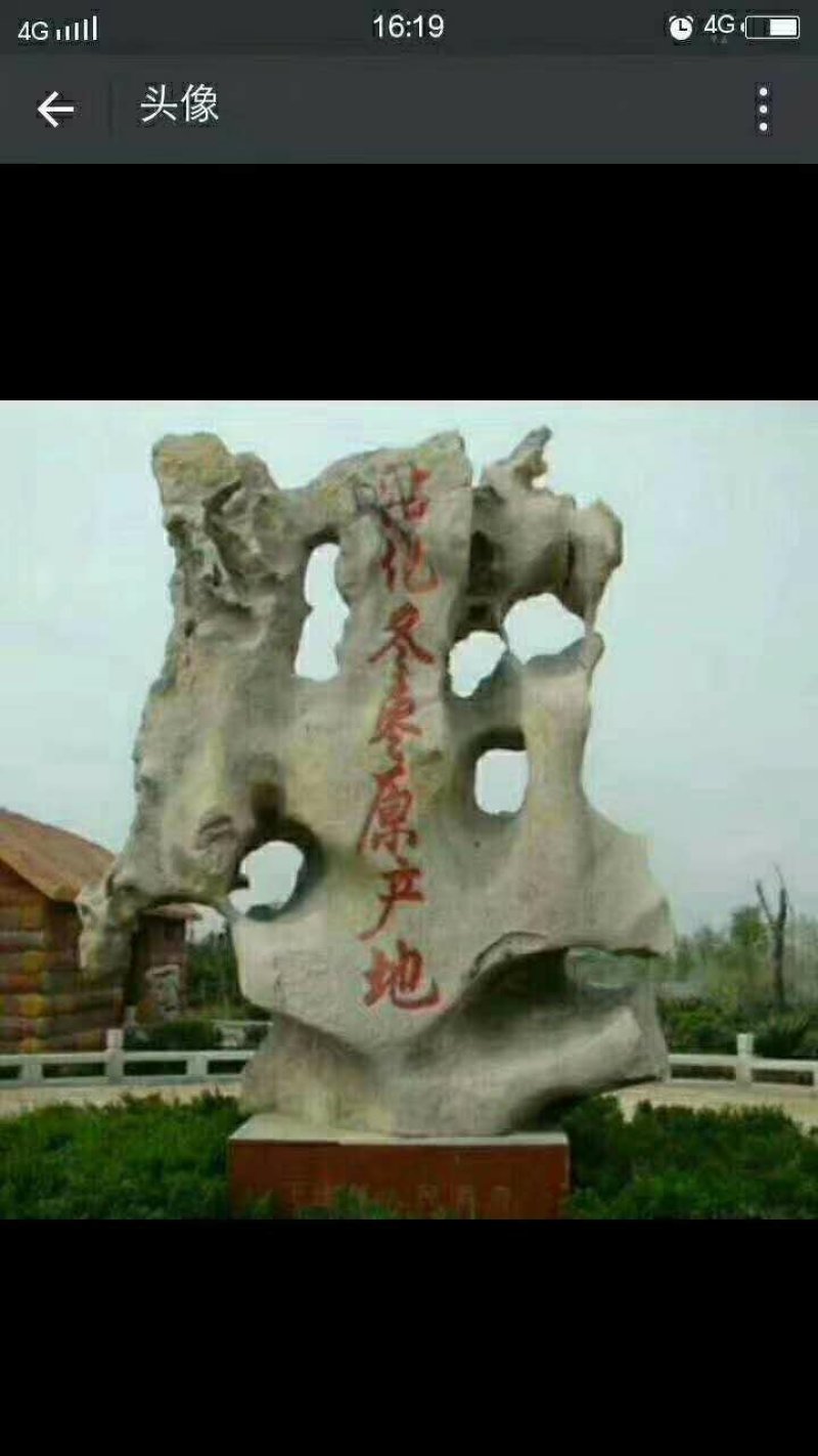 富硒冬枣