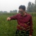 花椒苗1年苗质量保证现起现发提高成活率