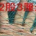 渔网鸡鸭鹅家禽养殖网防鸟网河塘养殖防逃网养殖网箱