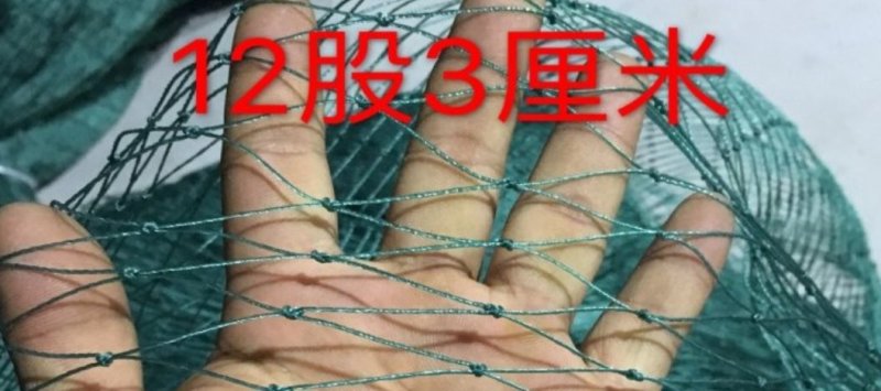 渔网鸡鸭鹅家禽养殖网防鸟网河塘养殖防逃网养殖网箱