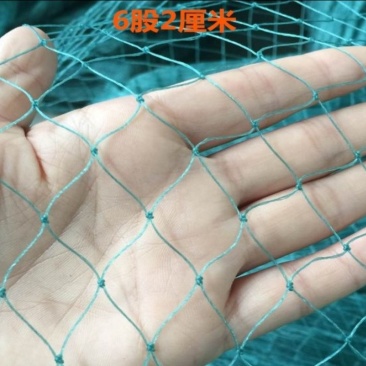 渔网鸡鸭鹅家禽养殖网防鸟网河塘养殖防逃网养殖网箱