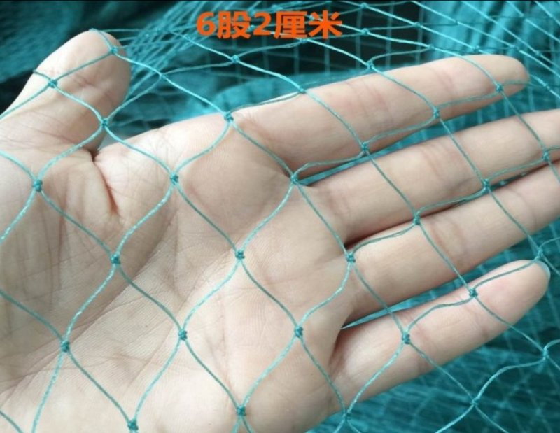 渔网鸡鸭鹅家禽养殖网防鸟网河塘养殖防逃网养殖网箱
