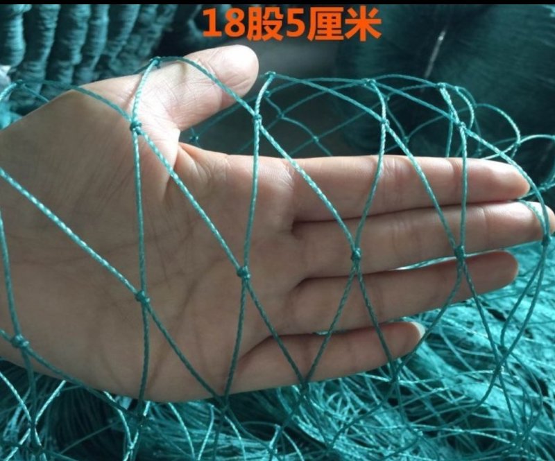 渔网鸡鸭鹅家禽养殖网防鸟网河塘养殖防逃网养殖网箱