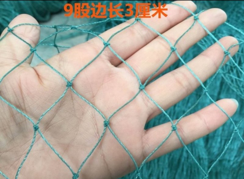 渔网鸡鸭鹅家禽养殖网防鸟网河塘养殖防逃网养殖网箱