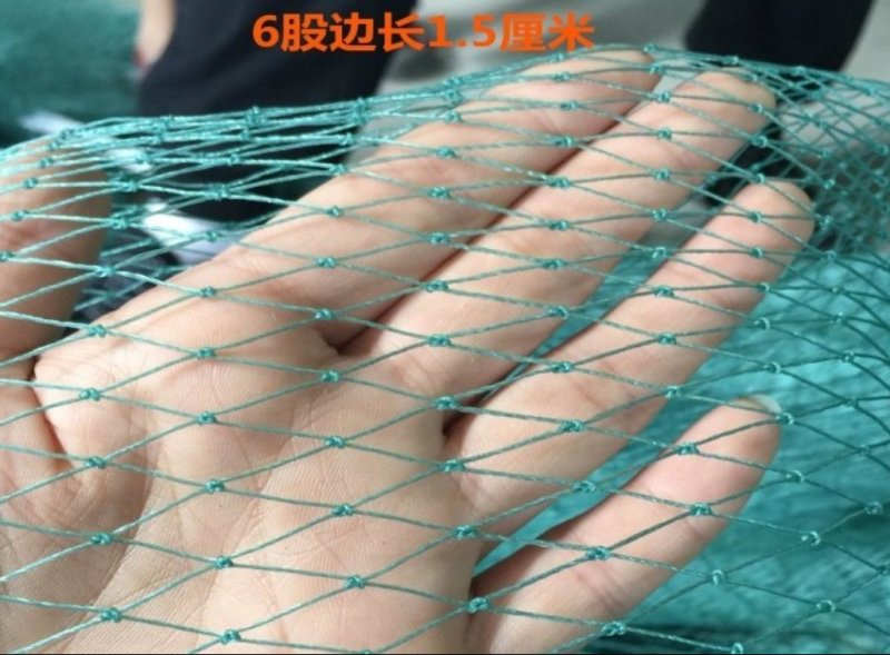 渔网鸡鸭鹅家禽养殖网防鸟网河塘养殖防逃网养殖网箱
