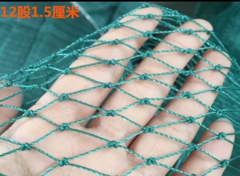渔网鸡鸭鹅家禽养殖网防鸟网河塘养殖防逃网养殖网箱