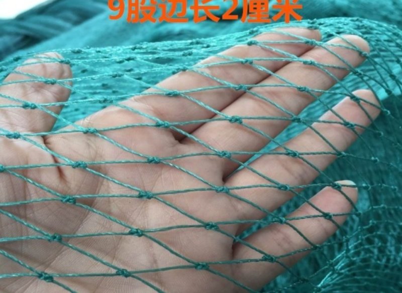 渔网鸡鸭鹅家禽养殖网防鸟网河塘养殖防逃网养殖网箱