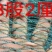 渔网鸡鸭鹅家禽养殖网防鸟网河塘养殖防逃网养殖网箱