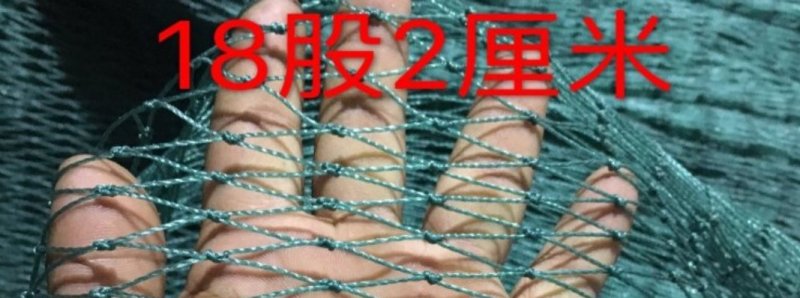 渔网鸡鸭鹅家禽养殖网防鸟网河塘养殖防逃网养殖网箱