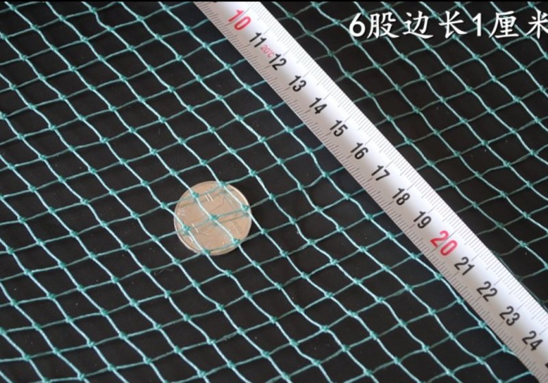 渔网鸡鸭鹅家禽养殖网防鸟网河塘养殖防逃网养殖网箱