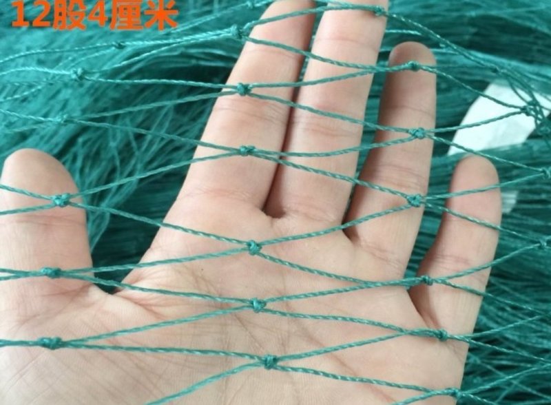 渔网鸡鸭鹅家禽养殖网防鸟网河塘养殖防逃网养殖网箱