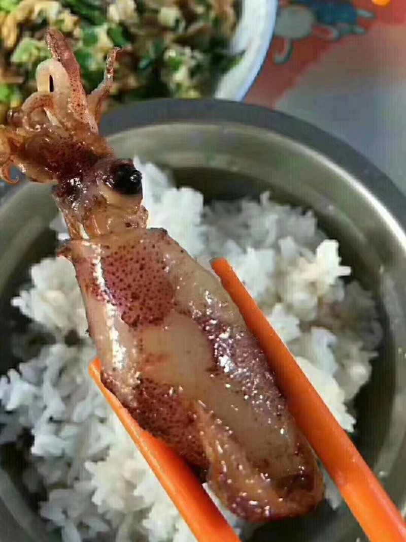 粉魷仔