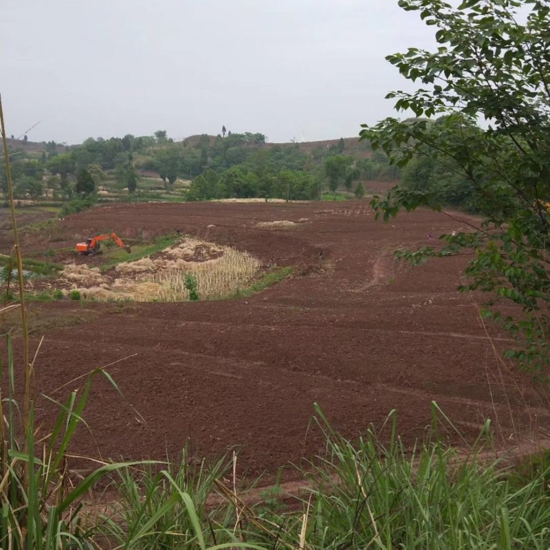 四川土地出租，种养循环都可以